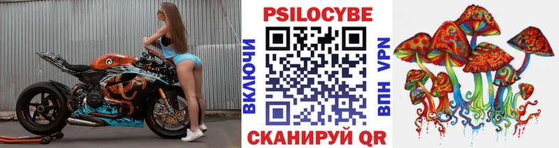 блэк спрут ТОР Октябрьск Галлюциногенные грибы мицелий купить